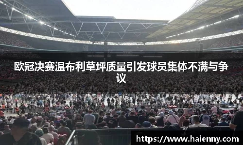 333体育官网