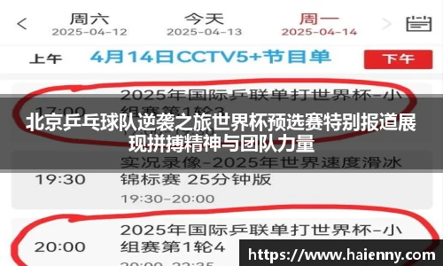 333体育平台